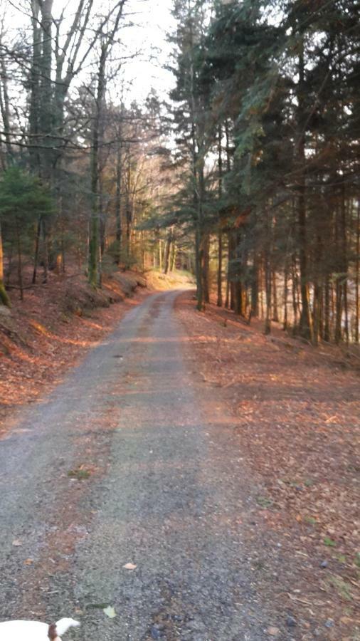 Gite le Sauceley Maison de vacances pour 6 à 10 personnes Girmont-Val-dʼAjol Esterno foto