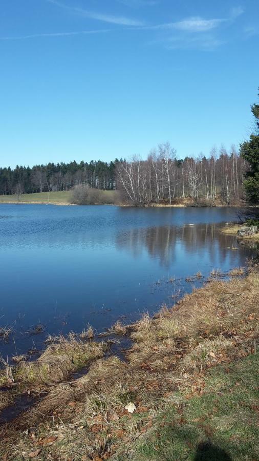 Gite le Sauceley Maison de vacances pour 6 à 10 personnes Girmont-Val-dʼAjol Esterno foto